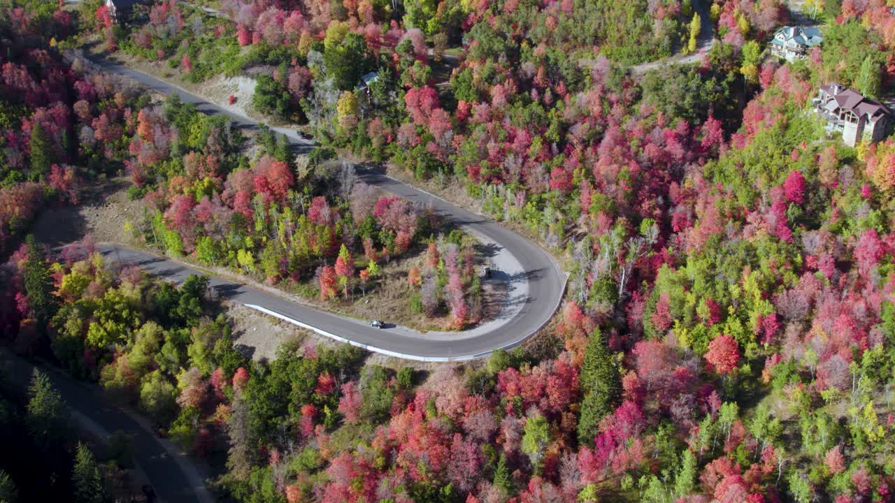 조감도에서 유타 주 도로 92번에 있는 화려하고 선명한 다채로운 나무 잎