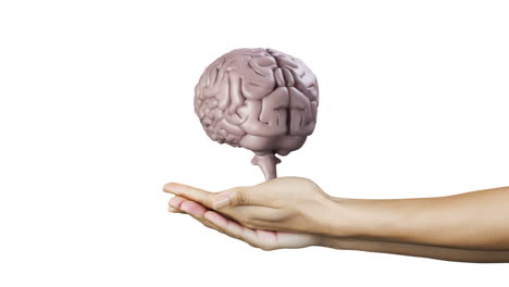 mano que presenta un cerebro giratorio