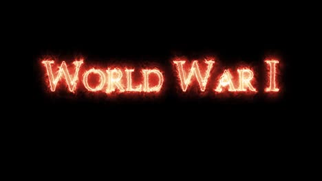 world war i written with fire. loop