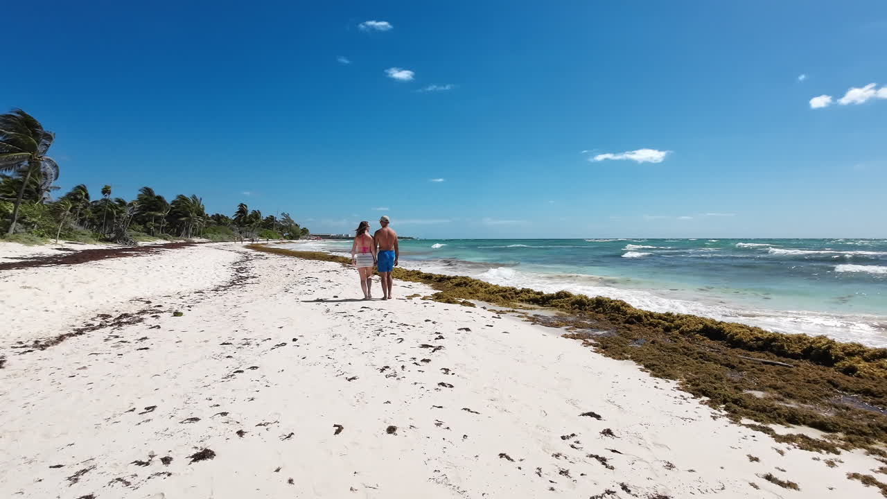 Um casal de férias de mãos dadas caminhando em uma praia de Tulum com areia branca e sargaço na orla. Ondas caribenhas turquesa com paisagem natural de praia tropical.