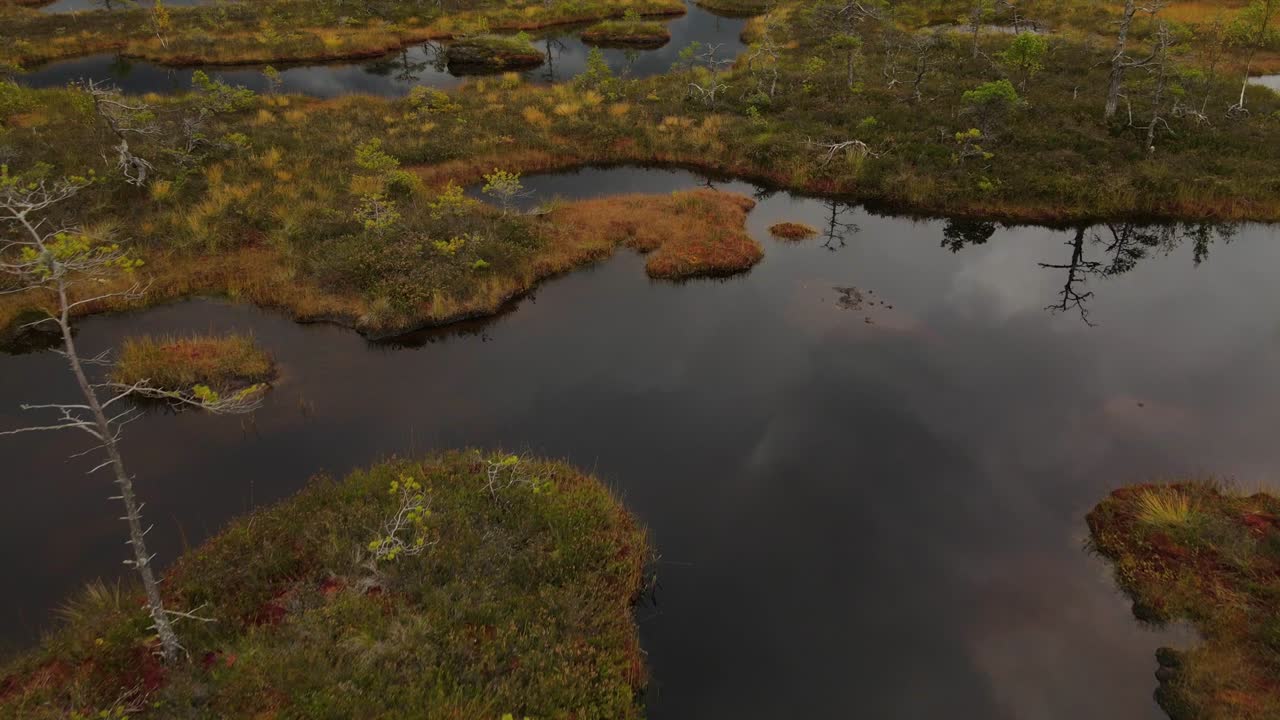 Rain clouds were reflected in the swamp