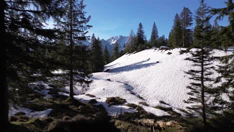 drone vuela a través del bosque sobre el campo nevado en los alpes austriacos con montañas nevadas en el fondo