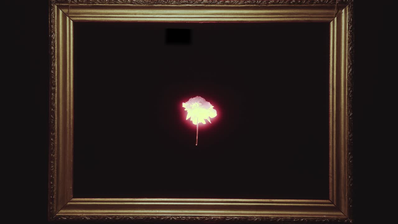 Glowing Flower Flying Inside Classic Picture Frame