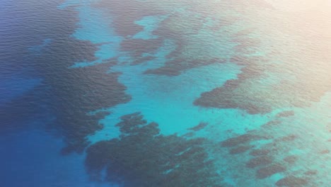 vista aérea cinematográfica del arrecife caribeño, agua turquesa durante el amanecer, isla de roatán, extremo oeste, honduras, américa central