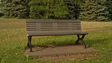 returnslow dolly to the left past an empty bench in a sunlit park. a calm, reflective moment suggesting return, memory, or the trace of someone once present.ing to the empty bench