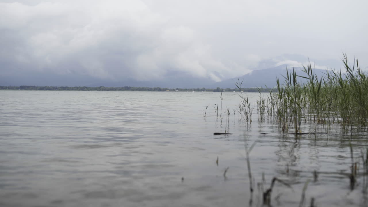 Beautiful reed blowing in the wind on lake chiemsee withthe alps mountains and the highway in the backgroundgiving it a mystical and interesting scenery as there is acloudy day