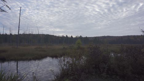 Beautiful-Scenic-Landscape-During-Fall-In-Algonquin-Park,-Canada