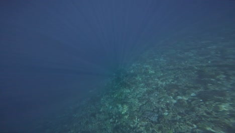 rays of sunlight above the depths of the indian ocean