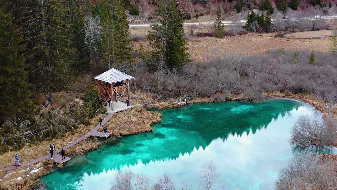 Aerial of Sava Dolinka, an emerald green headwater of Sava river in Zelenci Nature reserve