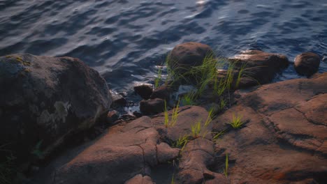 Rocas-Al-Borde-De-Un-Lago-Con-Vegetación-Verde