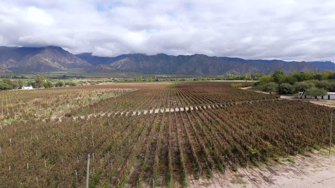 una vista panorámica muestra una prestigiosa bodega en el corazón del valle de cafayate, salta, argentina, conocida por sus excepcionales vinos de alta altitud.