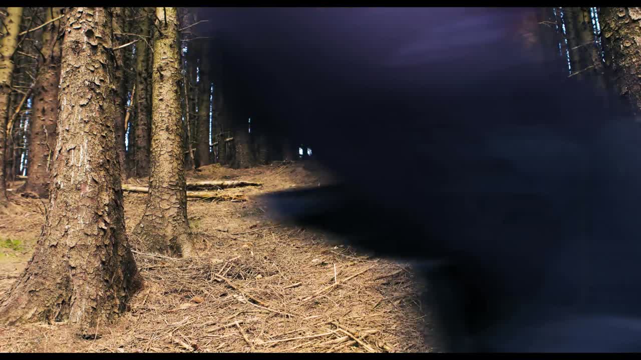 Mountainbiker, der kører på cykel i skov