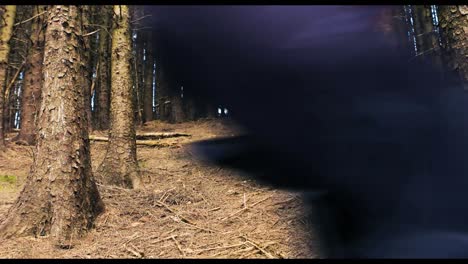 mountain biker riding bicycle in forest