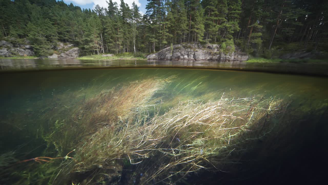 vista de dos niveles sobre y bajo el agua, otro río, noruega