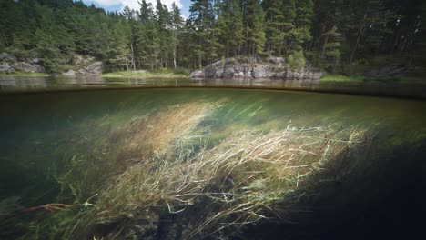 Blick-Auf-Zwei-Ebenen-über-Und-Unter-Wasser,-Fluss-Otra,-Norwegen