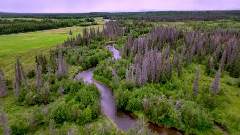 Schneller-Flugstoß-über-Den-Funny-River-In-Der-Nähe-Von-Soldotna,-Alaska