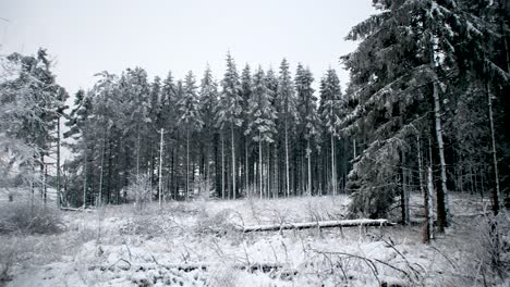 Paisaje-Del-Lado-Del-Bosque-Cubierto-De-Nieve-En-La-Sartén-Tiro-Izquierdo