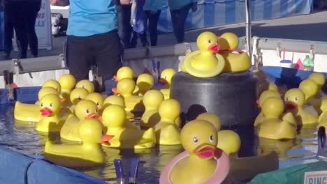 scene from the duck ring toss game at the nc state fair, 2019