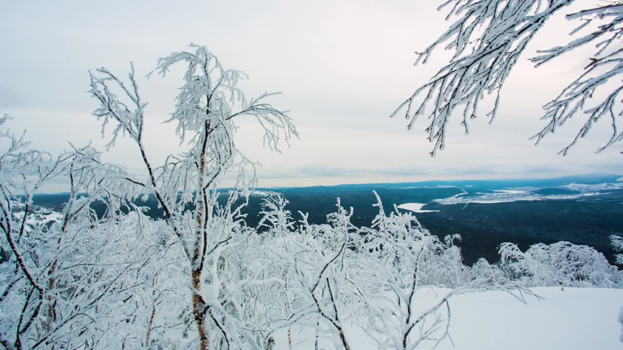 눈으로 인 나무가 있는 겨울의 산악 풍경