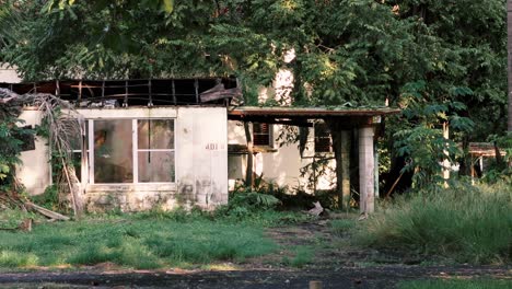 destroyed abandoned deteriorating house in state of decay surrouned by leafy dense vegetation in a dark gloomy day portrays the consecuences of a bad economy and migration from poor cities