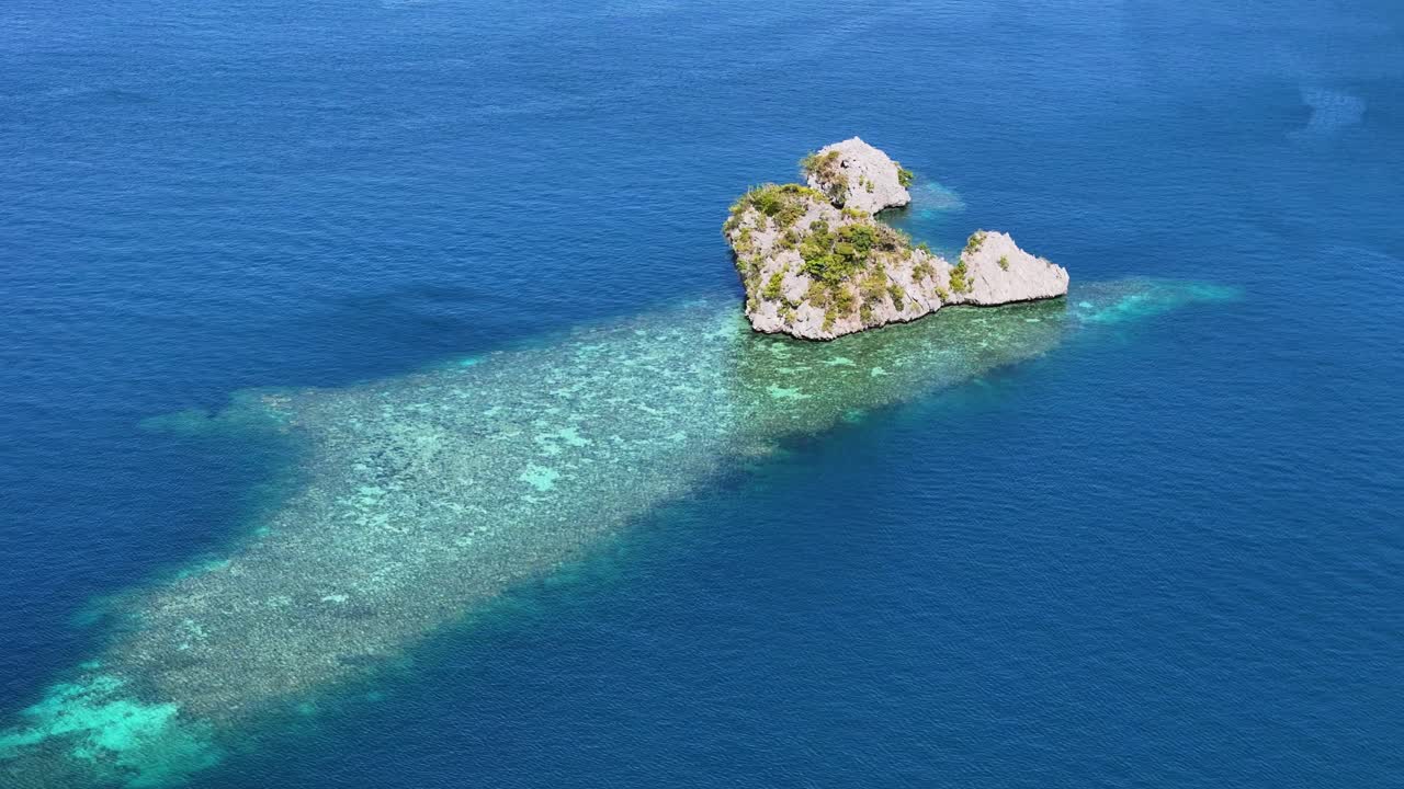 Aerial View of a Tropical Island and Coral Reef