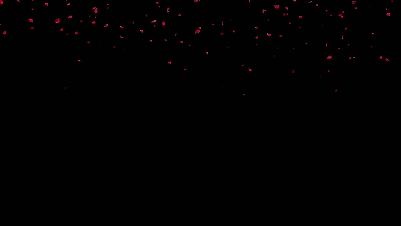 장미 꽃잎이 떨어지는 것