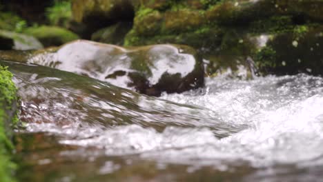 Slow-motion-footage-of-streams,-small-rivers,-and-flowing-water