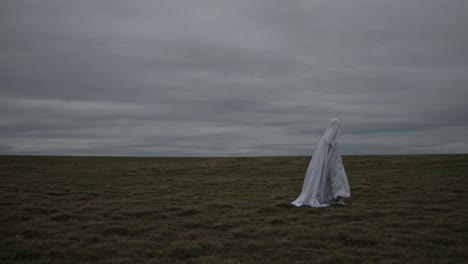 ghost figure in a field