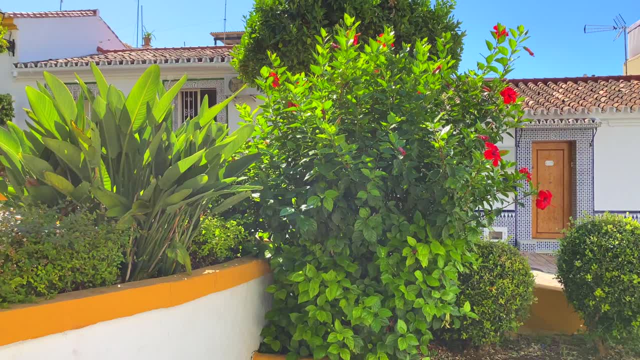 Palm trees and flower bushes in a tropical little Spanish street with houses in Marbella old town, sunny day and blue sky in Spain, 4K panning left