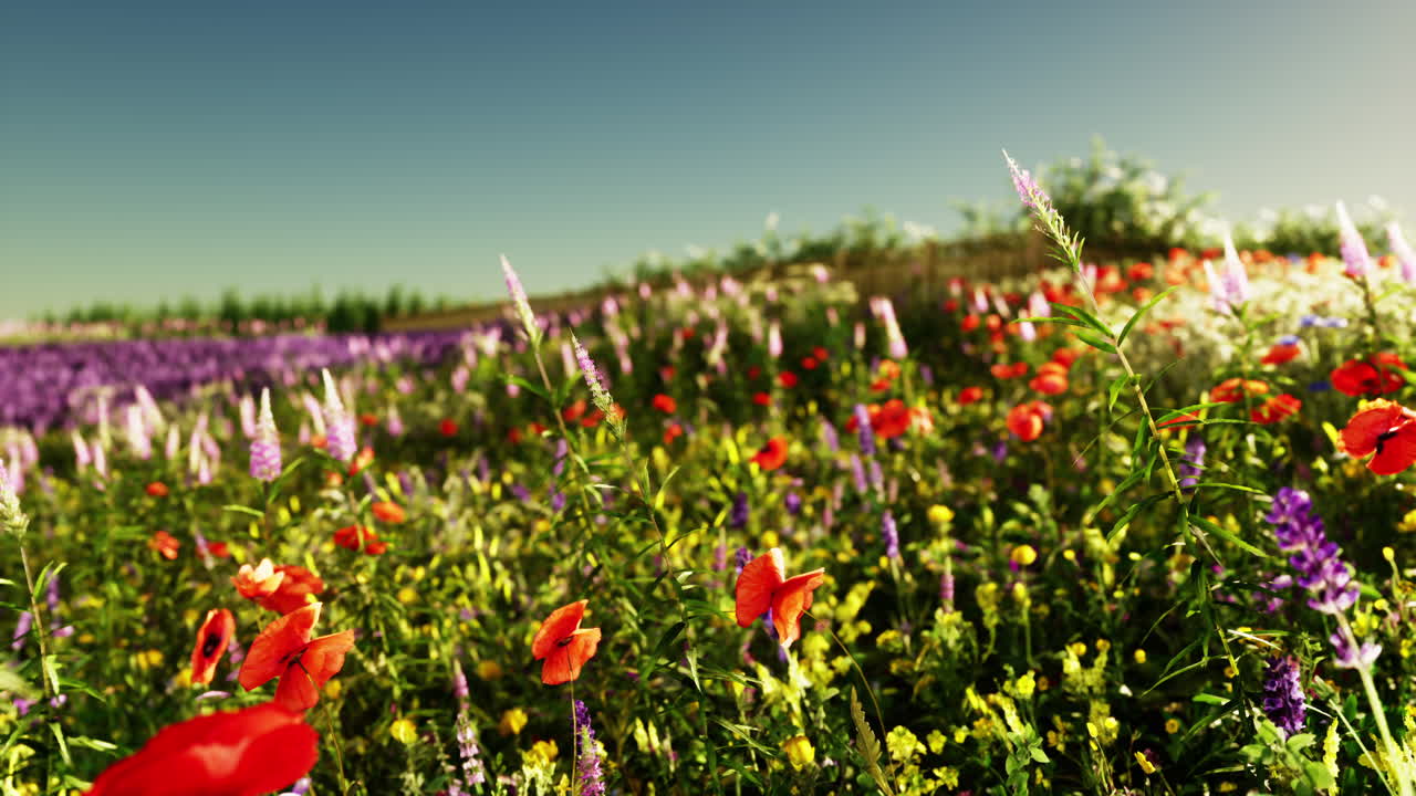 um prado de flores silvestres vibrante no verão