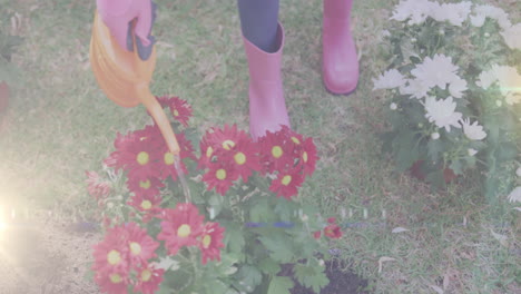 animación de puntos de luz sobre una niña afroamericana regando plantas en el jardín