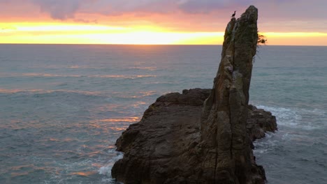 perching birds on kiama cathedral rocks with distinctive formation of volcanic rock against colorful sunset sky in new south wales, australia