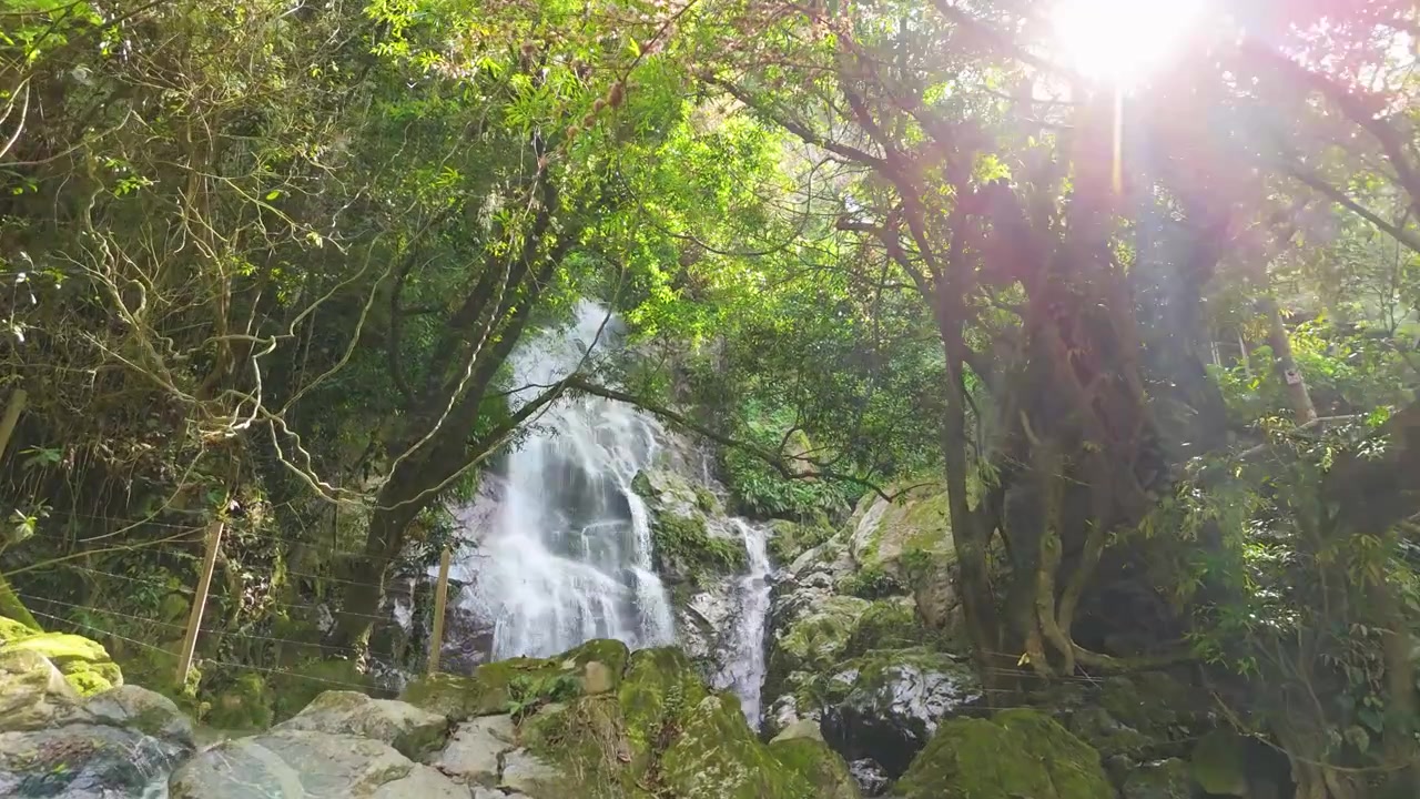 Ascenso aéreo en primer plano de una cascada tropical cayendo sobre lecho rocoso cubierto de musgo a través de una exuberante selva en la Cascada Oído del Mundo cerca de Minca en la Sierra Nevada de Colombia.