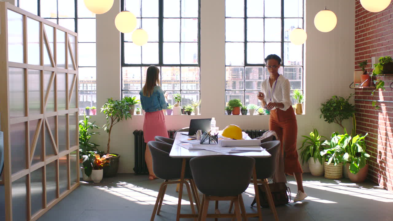 계획, 협업 및 사업 여성