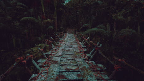 exploring a weathered bridge in the dense venezuelan rainforest at twilight