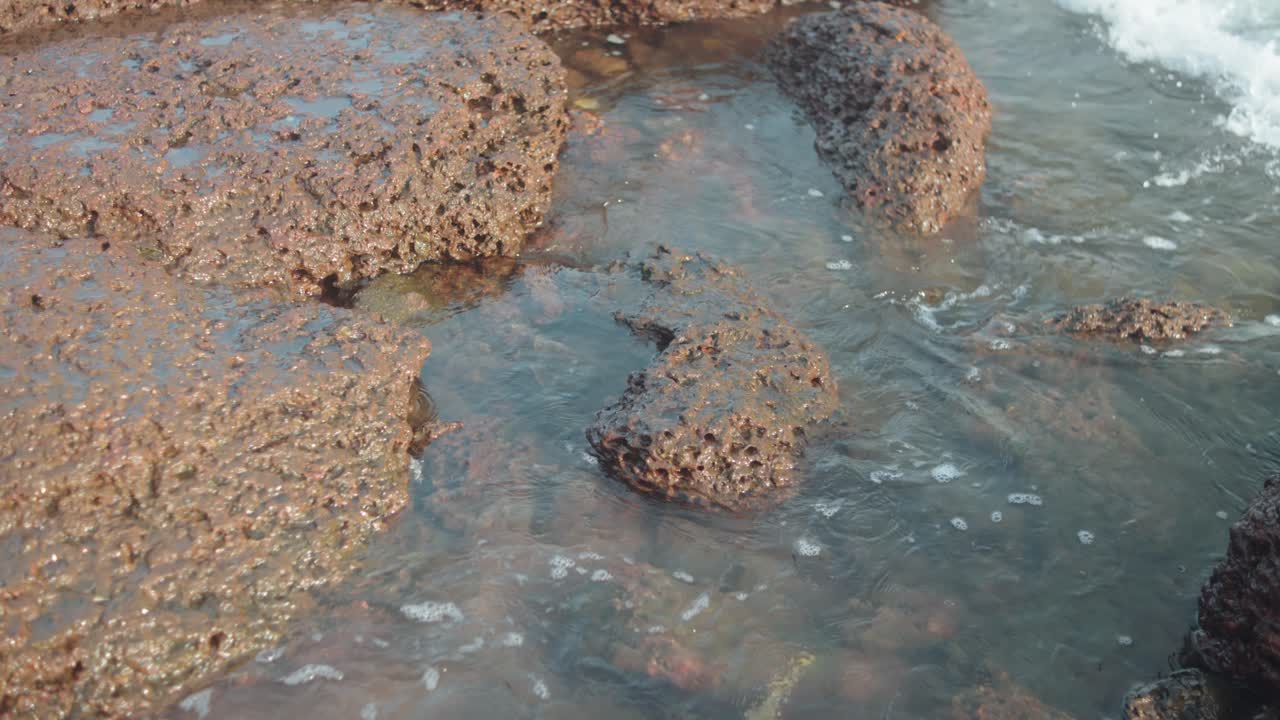 Onde che si infrangono sulle rocce creano una scena oceanica dinamica e potente.