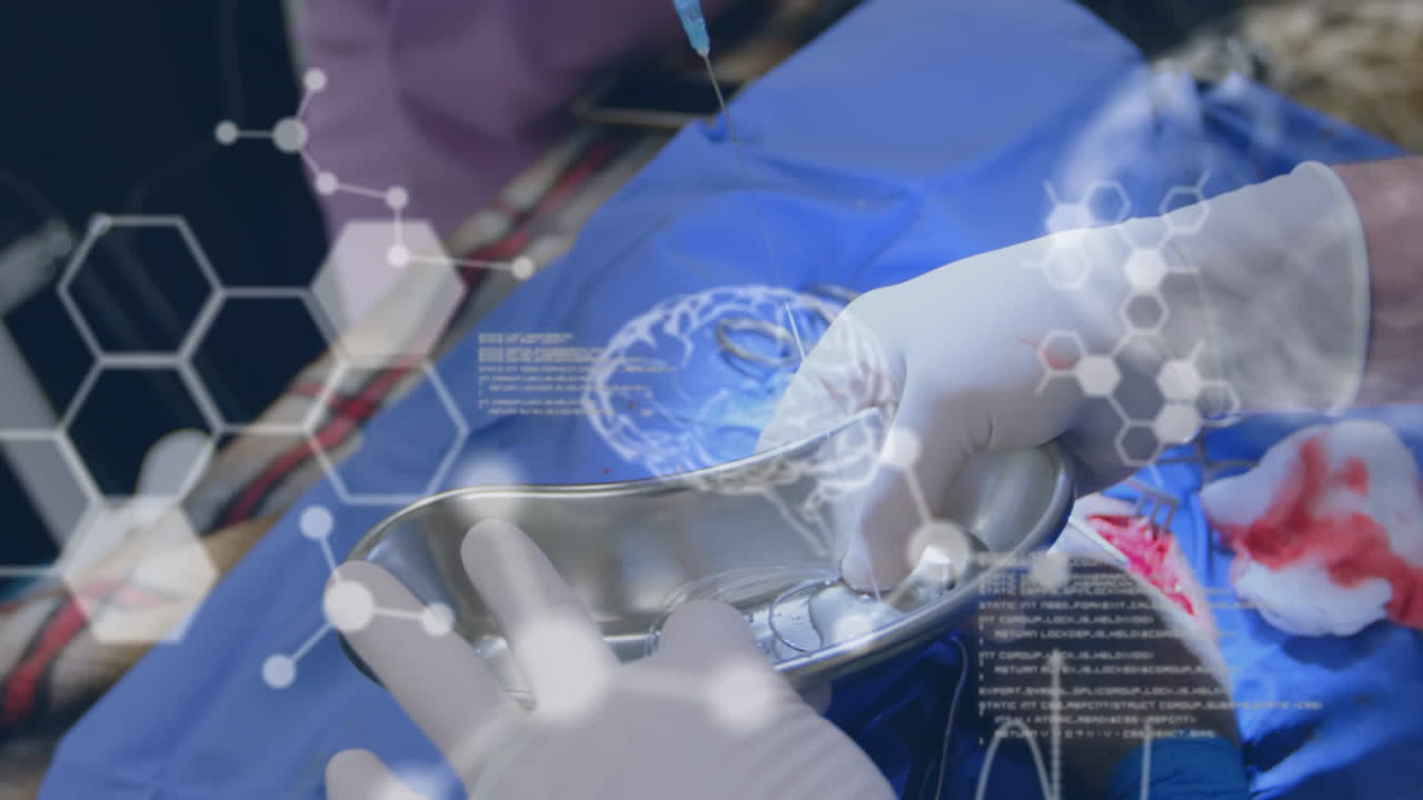 의학과 과학의 글로벌 네트워크