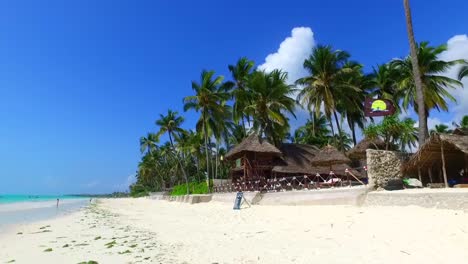 Casa-De-Palapa-Tradicional-Rodeada-De-Cocoteros-En-Arena-Blanca-En-El-Paraíso-De-La-Playa-De-Jambiani-Zanzíbar---Cámara-Lenta