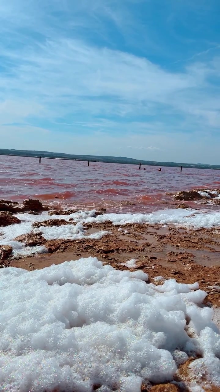 Hvitt sjøskum på bredden av en rosa saltsjø. Nærbilde av tykt hvitt sjøskum på den rødaktige bredden av en rosa saltsjø under en blå himmel.
