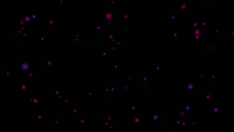 círculos de bokeh borrosos volando hacia arriba. animación de movimiento círculos borrosos de púrpura, rosa y rojo sobre un fondo negro. efecto desfocado. composición horizontal, calidad de video 4k