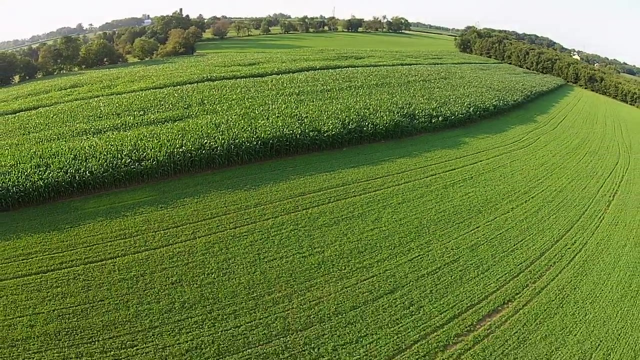 Aerial footage of cornfield and farmland.