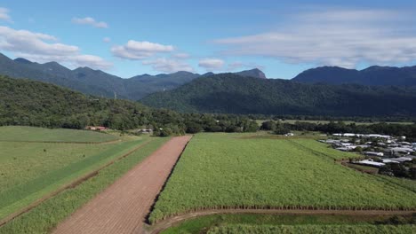 Drone ascending over a sugarcane plantation with mountains in the background, near a small country town in North Queensland, Australia