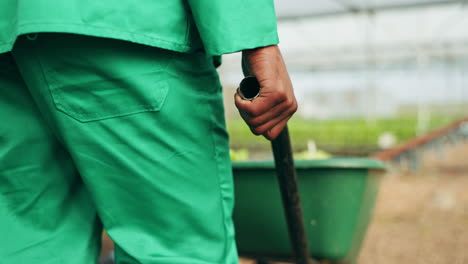 agriculture, farm and hands of person