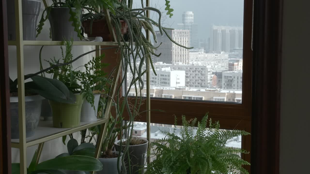 식물 로 가득 찬 발코니 에서 도시 풍경