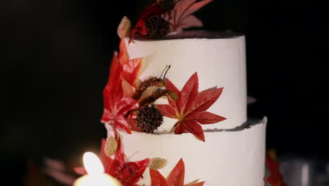 Autumn-themed-wedding-cake-with-foliage---closeup