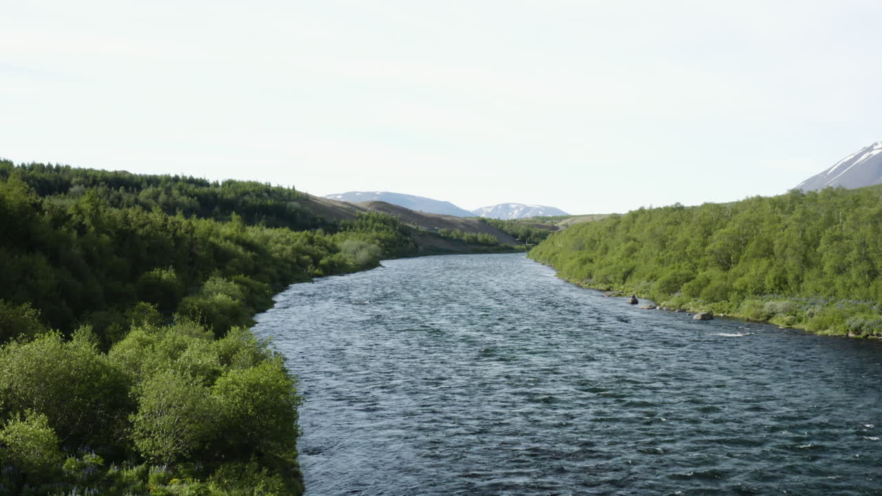AEREA - Fiume Fnjoska, Vaglaskogur, Fnjoskadalur, Islanda, ampia ripresa in discesa.