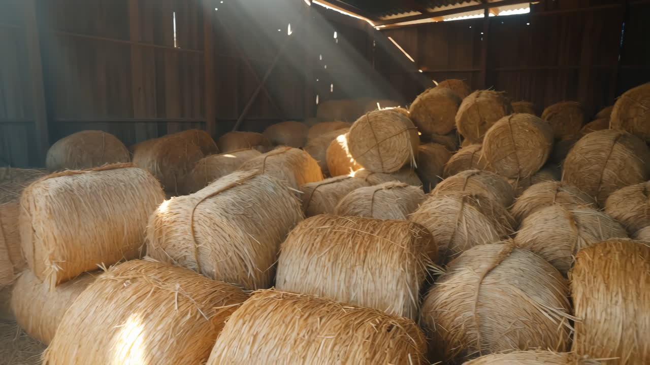 Hay Bales Stored in a Rustic Barn with Sunlight
