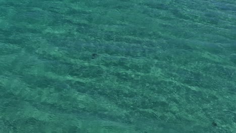 pristine clear calm beach of caion in la coruna, spain