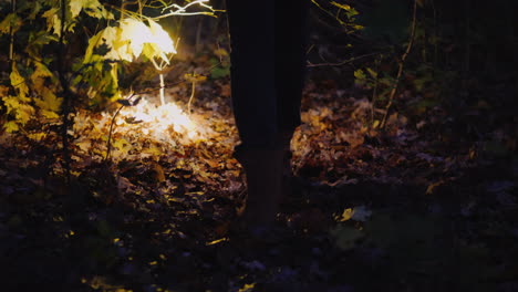 legs of a woman in boots walking along a forest trail lit by the light of a flashlight