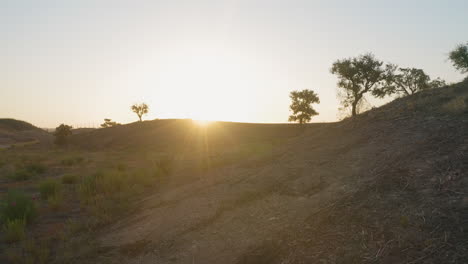 aerial orbit shot around a beautiful sunrise at ground level, in a barren terrain with holm oaks scattered through, in algarve, portugal